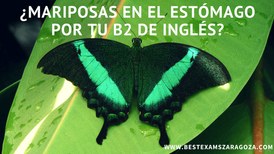 Examen Cambridge: ¿Tienes mariposas en el estómago cuando piensas en tu examen B2 de inglés?